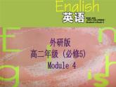 Module 4 Carnival Reading and Writing PPT课件