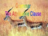 Module 6 Animals in Danger Grammar & Function PPT课件