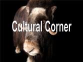 Module 6 Animals in Danger Cultural Corner PPT课件
