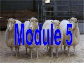 Module 5 Cloning Introduction, Reading and Vocabulary PPT课件