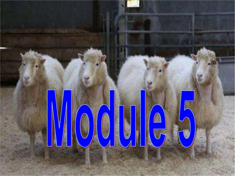 Module 5 Cloning Function and GrammarPPT课件02