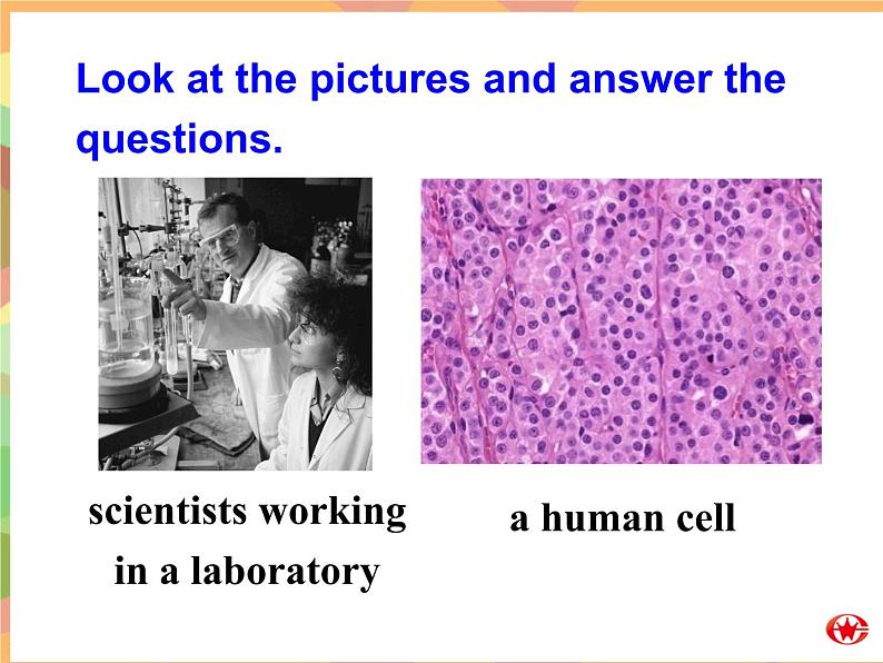 Module 5 Cloning  Listening and VocabularyPPT课件05