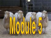 Module 5 Cloning Speaking and WritingPPT课件