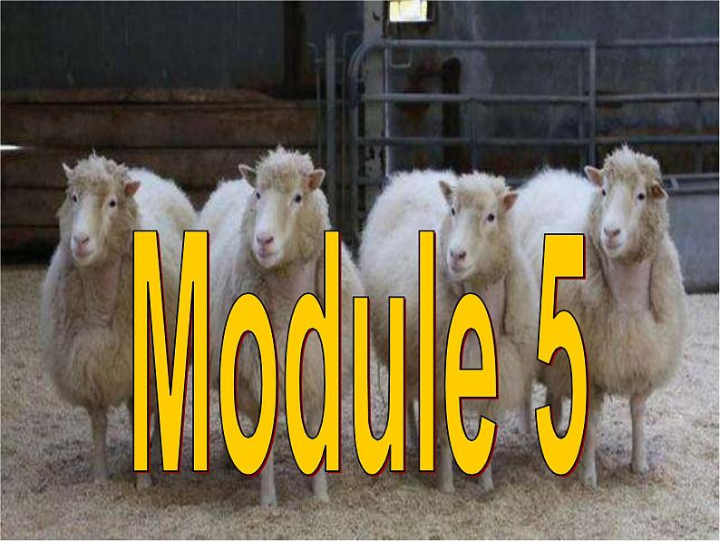 Module 5 Cloning Cultural cornerPPT课件第2页