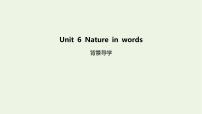 高中英语外研版 (2019)选择性必修 第三册Unit 6 Nature in words授课课件ppt