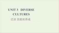 人教版 (2019)必修 第三册Unit 3 Diverse Cultures授课课件ppt