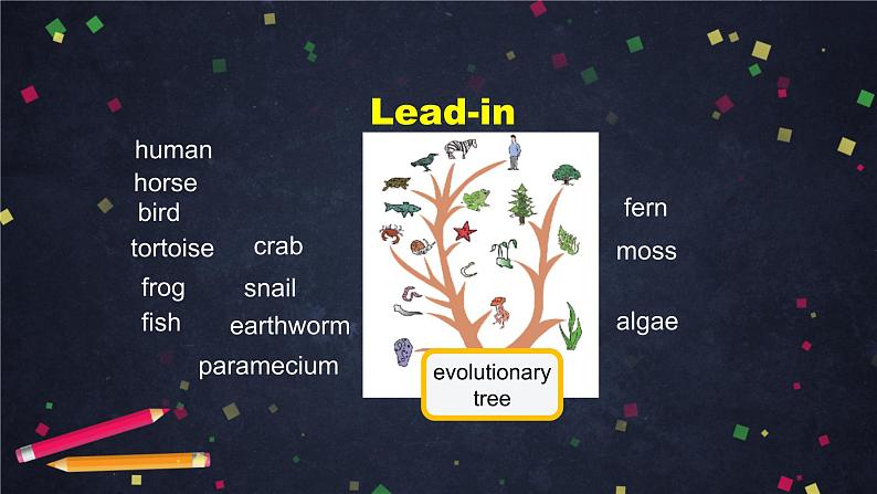 选择性必修第一册Unit 5 Revealing Nature （1）-PPT课件 高中英语新外研版（2021-2022）第7页