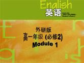 Module 1 Our Body and Healthy Habits  Grammar PPT课件