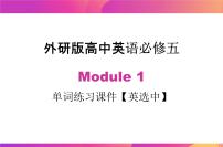 高中英语Module 1 British and American English精品ppt课件