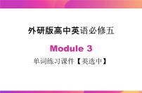 高中英语外研版必修5Module 3 Adventure in Literature and the Cinema获奖课件ppt