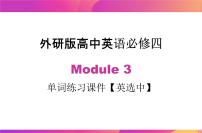 英语必修4Module 3 Body Language and Non-Verbal Communication评优课课件ppt