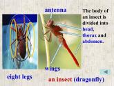 牛津上海版高中一年级第二学期Unit 4 Creatures large and small reading and language points课件