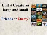 牛津上海版高中一年级第二学期Unit 4 Creatures large and small reading Creatures large and small Friends or Enemy_ 课件