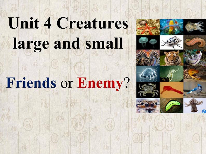 牛津上海版高中一年级第二学期Unit 4 Creatures large and small reading Creatures large and small Friends or Enemy_ 课件01