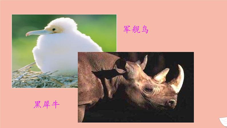 2021_2022学年新教材高中英语Unit2WildlifeProtectionPeriod2ReadingandThinking课件新人教版必修第二册第5页