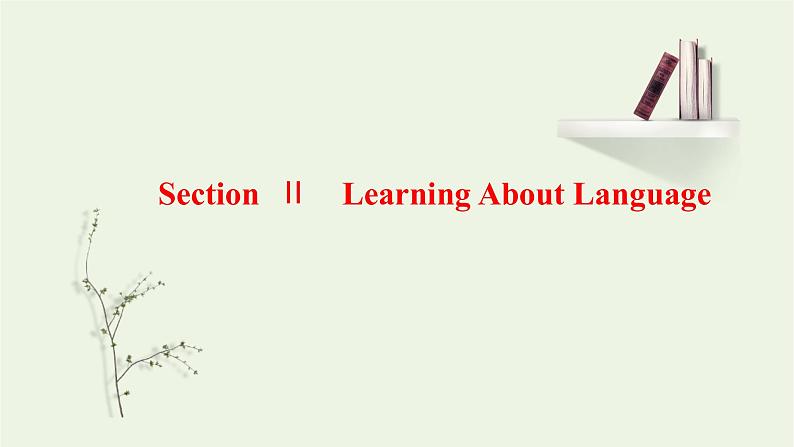 2021_2022学年新教材高中英语UNIT4JOURNEYACROSSAVASTLANDSectionⅡLearningAboutLanguage课件新人教版选择性必修第二册01