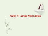 2021_2022年新教材高中英语UNIT1PEOPLEOFACHIEVEMENTSectionⅡLearningAboutLanguage课件新人教版选择性必修第一册