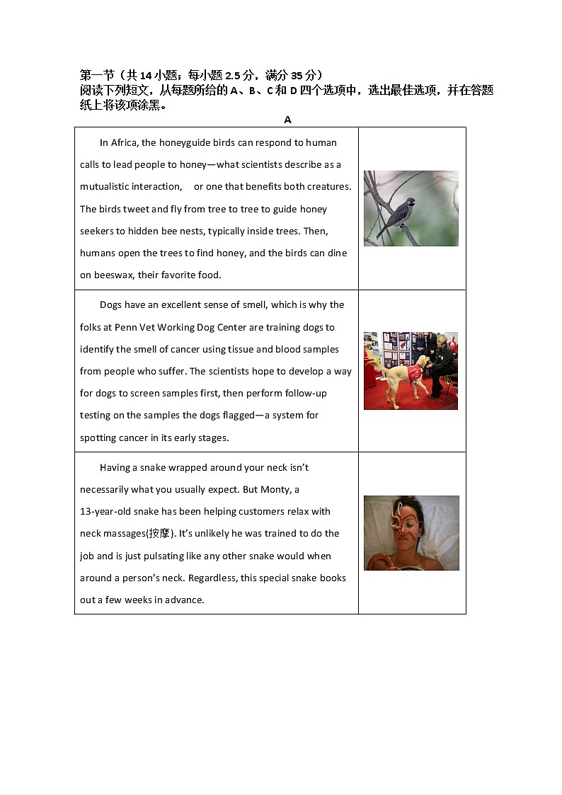 2022台州书生中学高一下学期3月月考英语试题含解析第3页