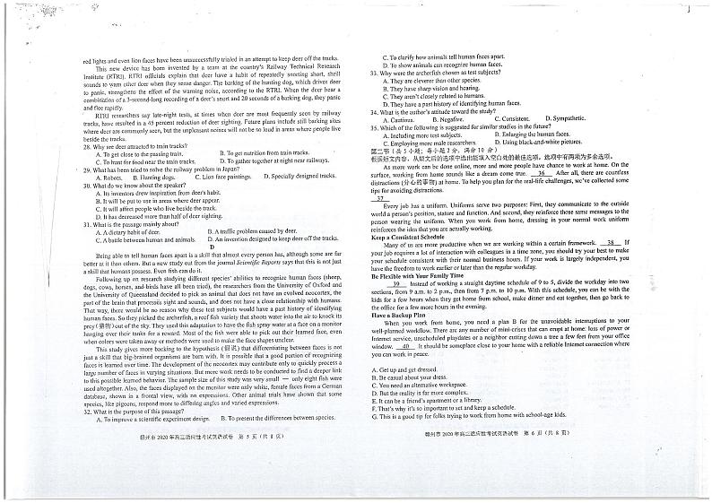 2020年江西省赣州市高三二模英语试卷及解析第3页