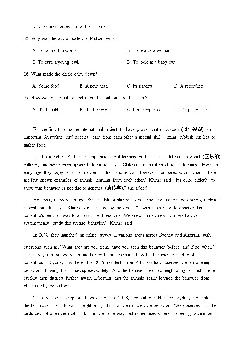2021-2022学年高一下学期英语北师大版（2019）必修第三册：期中模拟检测卷(一)（Word版含答案，无听力试题）第3页