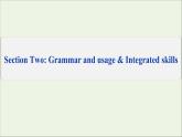 Unit2 The Universal Language课件