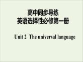 Unit2 The Universal Language3&4课件