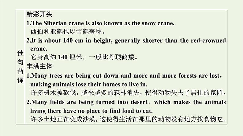 外研版必修第一册Unit5IntothewildSectionⅣWritingananimalfactfile课件03