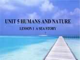 新北師大高中英語必修二Unit5 Lesson1課件PPT