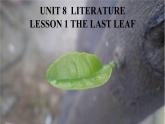 新北师大高中英语选择性必修三Unit8 Lesson 1课件PPT