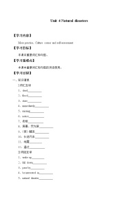 人教版 (2019)必修 第一册Unit 4 Natural disasters学案设计