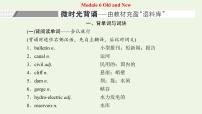 外研版高考英语必修3二轮复习Module6OldandNew课件+学案+训练