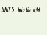 外研版高中英语必修第一册Unit5IntothewildSectionⅠStartingout&Understandingideas课件+学案+单元质量检测