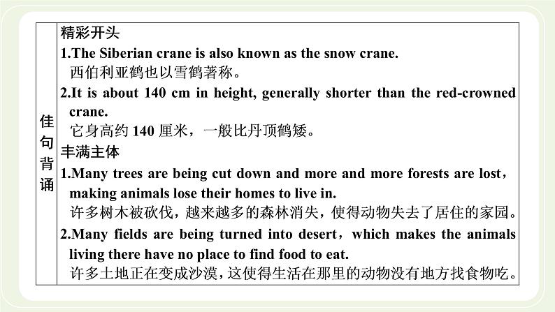 外研版高中英语必修第一册Unit5IntothewildSectionⅣWritingananimalfactfile课件+学案+单元质量检测03