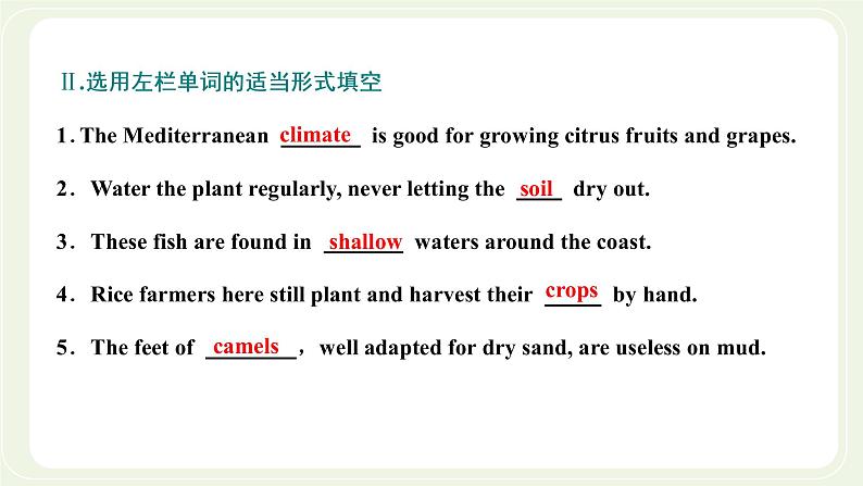 外研版高中英语必修第一册Unit6Atonewithnature单元复习与提升课件+单元质量检测07