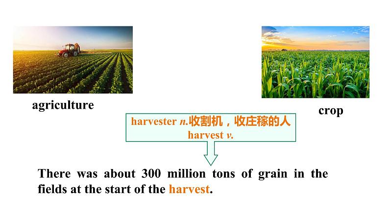 Book 3 Unit 1 Reading and Thinking词汇2课件PPT第4页