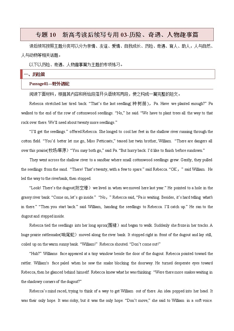 专题10  新高考读后续写专用03（历险、奇遇、人物趣事篇）-2022年新高考英语新题型写作专项解读与训练01