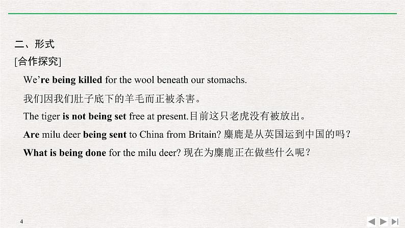 人教版高中英语必修第二册同步学案(课件+讲义)Unit 2 WILDLIFE PROTECTION (共9份打包)04