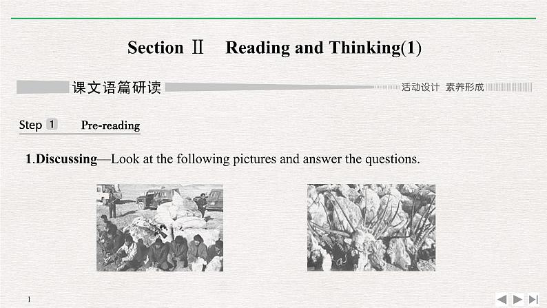 人教版高中英语必修第二册同步学案(课件+讲义)Unit 2 WILDLIFE PROTECTION (共9份打包)01