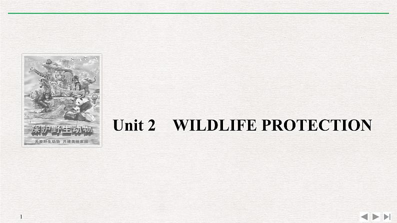 人教版高中英语必修第二册同步学案(课件+讲义)Unit 2 WILDLIFE PROTECTION (共9份打包)01