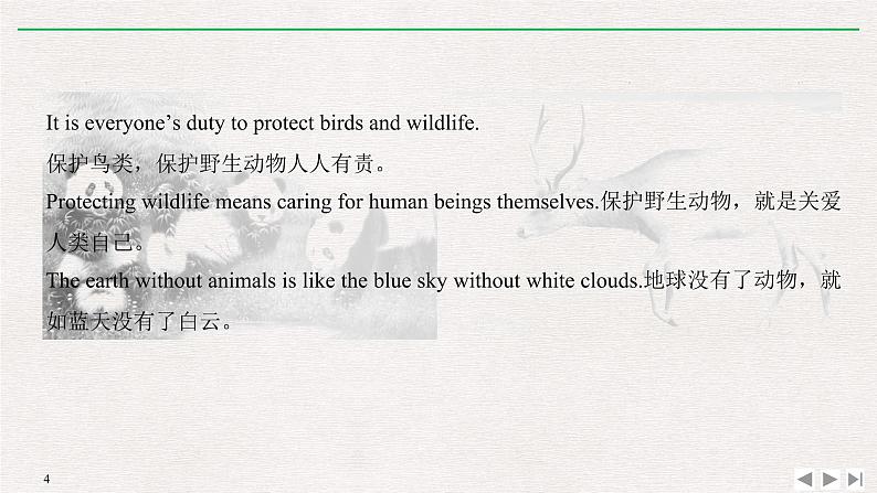 人教版高中英语必修第二册同步学案(课件+讲义)Unit 2 WILDLIFE PROTECTION (共9份打包)04
