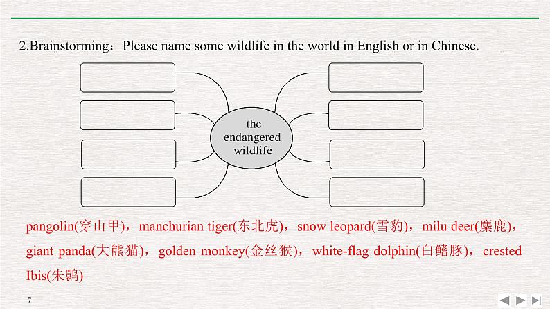 人教版高中英语必修第二册同步学案(课件+讲义)Unit 2 WILDLIFE PROTECTION (共9份打包)07