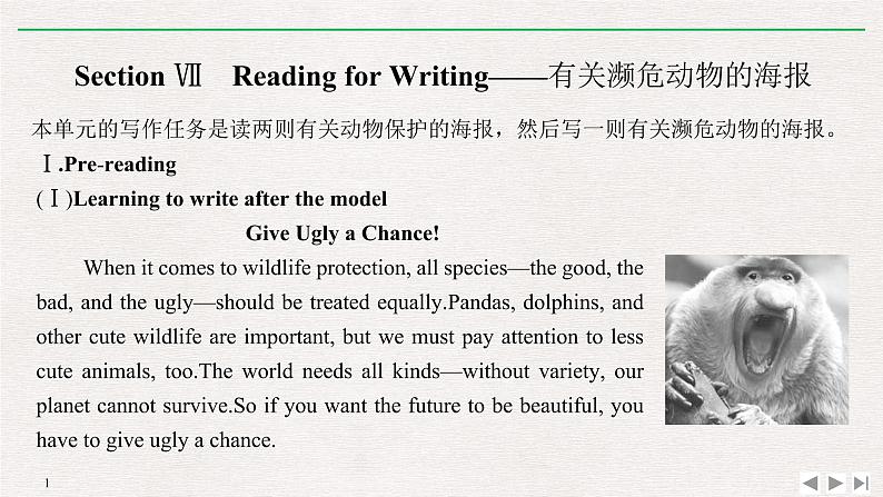 人教版高中英语必修第二册同步学案(课件+讲义)Unit 2 WILDLIFE PROTECTION (共9份打包)01
