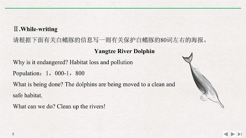 人教版高中英语必修第二册同步学案(课件+讲义)Unit 2 WILDLIFE PROTECTION (共9份打包)05