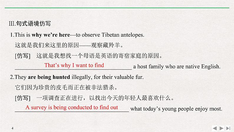 人教版高中英语必修第二册同步学案(课件+讲义)Unit 2 WILDLIFE PROTECTION (共9份打包)04