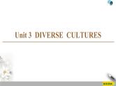 人教版高中英语必修第三册 UNIT 3 DIVERSE CULTURES（课件+学案+作业）（14份打包，含答案）