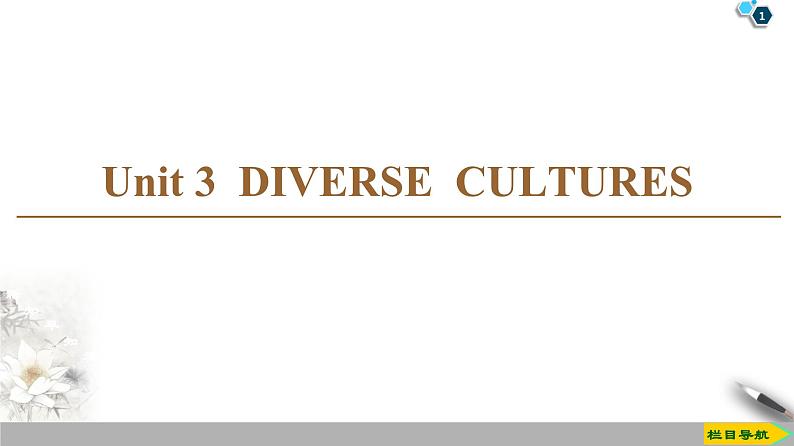 人教版高中英语必修第三册 UNIT 3 DIVERSE CULTURES（课件+学案+作业）（14份打包，含答案）01