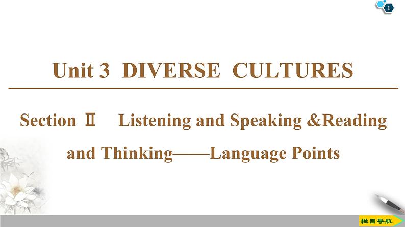 人教版高中英语必修第三册 UNIT 3 DIVERSE CULTURES（课件+学案+作业）（14份打包，含答案）01