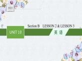 北师大2019选修四UNIT 10 Section B　LESSON 2 & LESSON 3课件