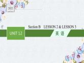 北师大2019选修四UNIT 12  Section B　LESSON 2 & LESSON 3课件