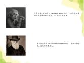 人教版高中英语选择性必修第一册unit 1 people of a chievement sectiona reading and thinking课件